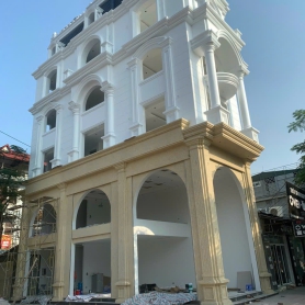 Mẫu sơn giả đá gai 2